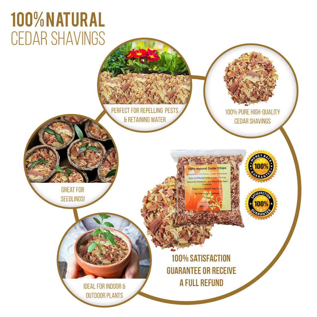 100% Natural Cedar Shavings | Mulch | Great for Outdoors or Indoor Potted Plants | Dog Bedding (4 Quart)