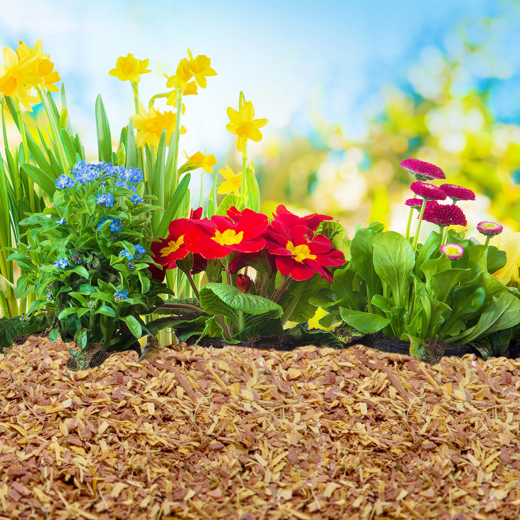 100% Natural Cedar Chips,Mulch,Repellent (4 Quart)