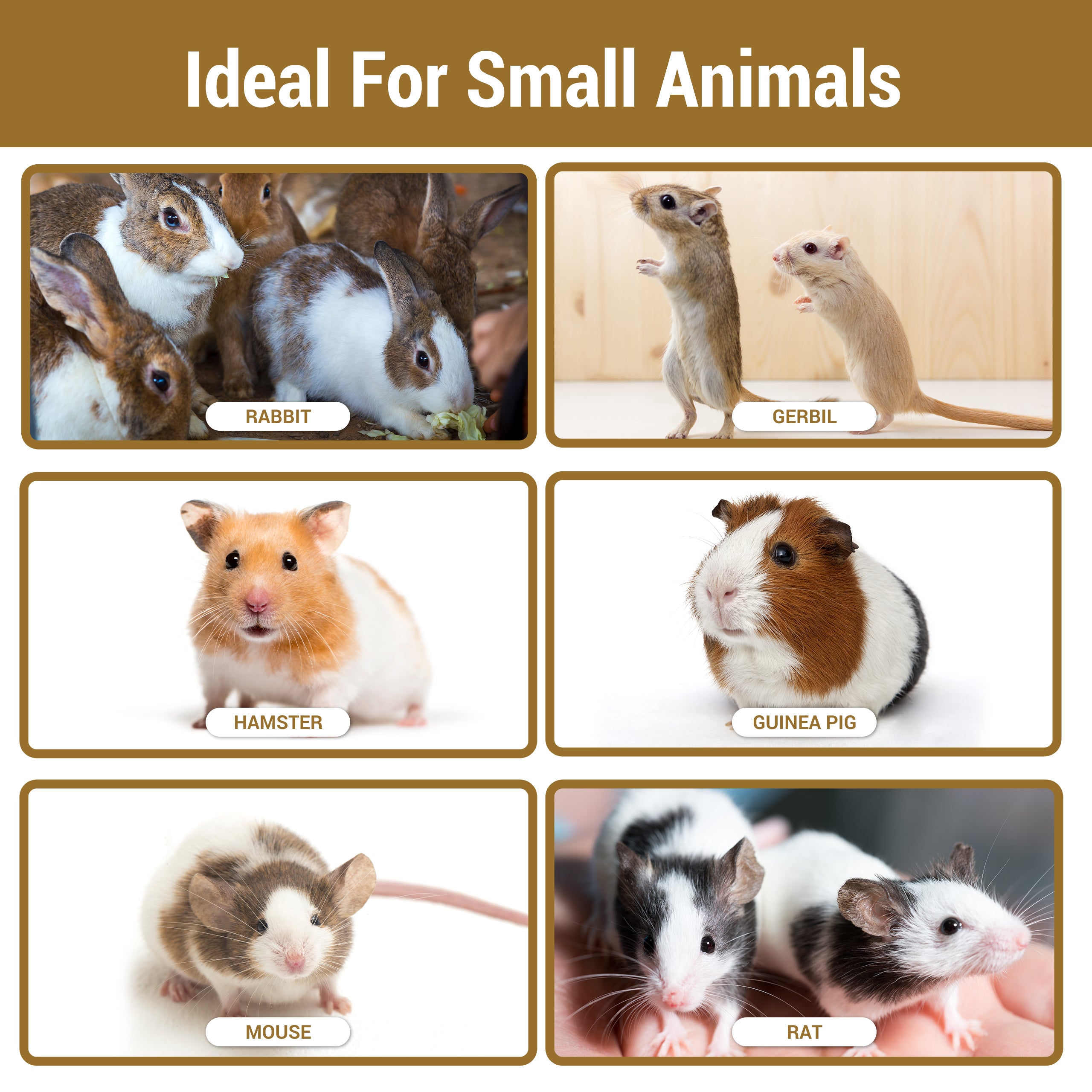 Premium Pine Bedding - 4 Quart | Soft, Dust Free Shavings | ALL Natural | Animal Bedding | Chicken Coops | Small Animals | Controls Odor